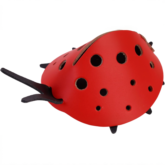 organizer-scrivania-compatto-coccinella - vista principale