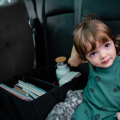 car-organizer-bag - accessori inclusi