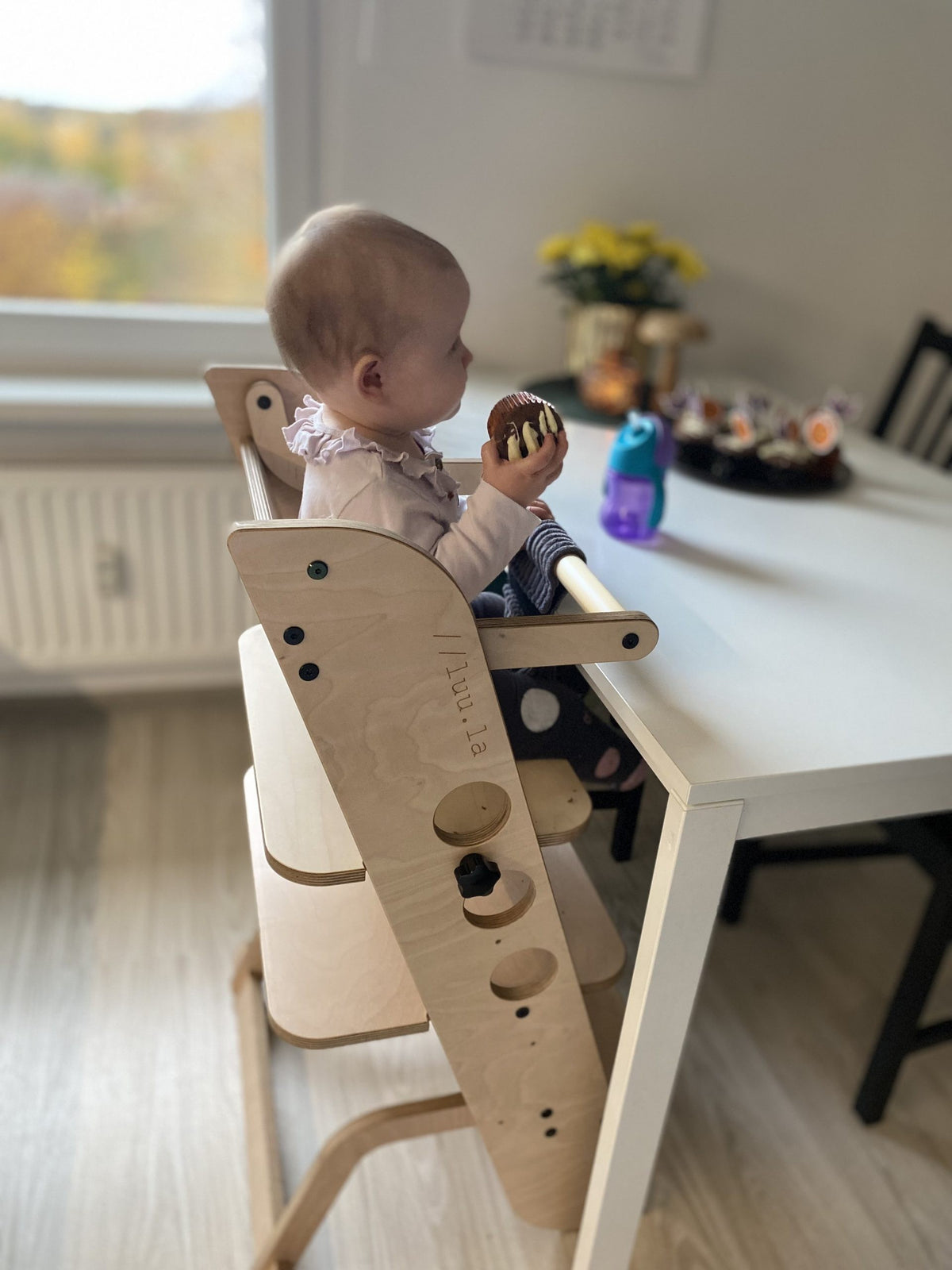 Seggiolone evolutivo Louis – foto 14